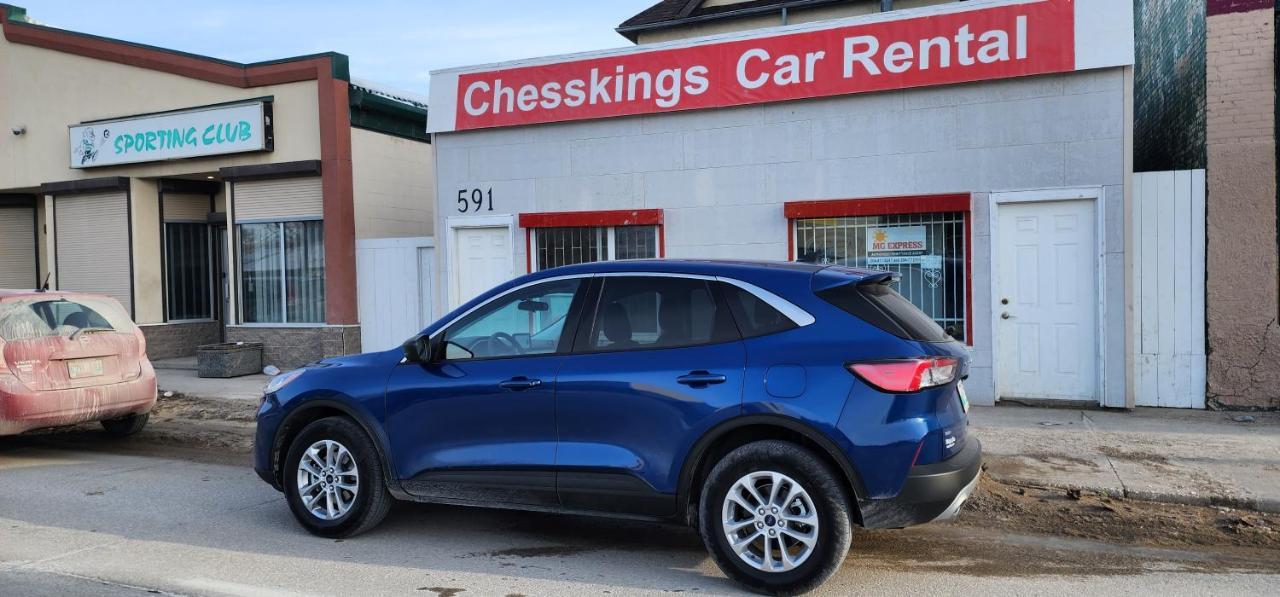 Chesskings Guest House - Unit 1 Winnipeg Esterno foto